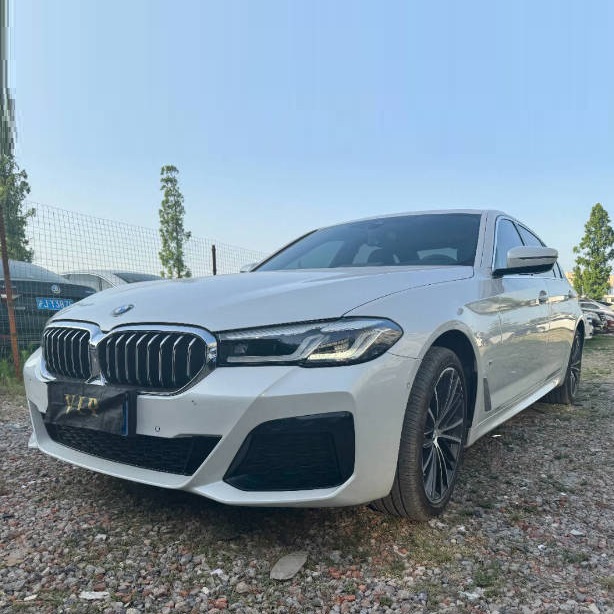 宝马5系 2020款 530Li 2.0T 手自一体